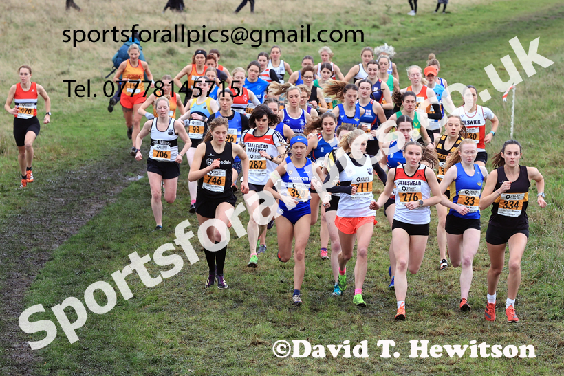 Senior Womens 2025 Start Fitness NEHL, Wrekenton, Gateshead, Sunday, November 23rd. Photo: David T. Hewitson/Sports for All Pics